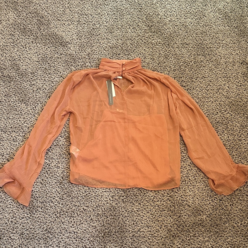Anthropologie Rose Sheer Blouse